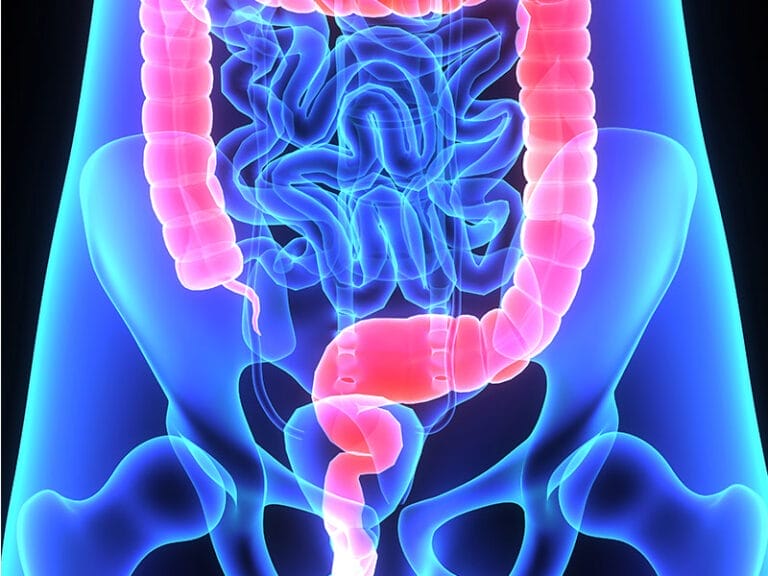 A digital illustration of the human digestive system highlighting the intestines in pink against a blue background.